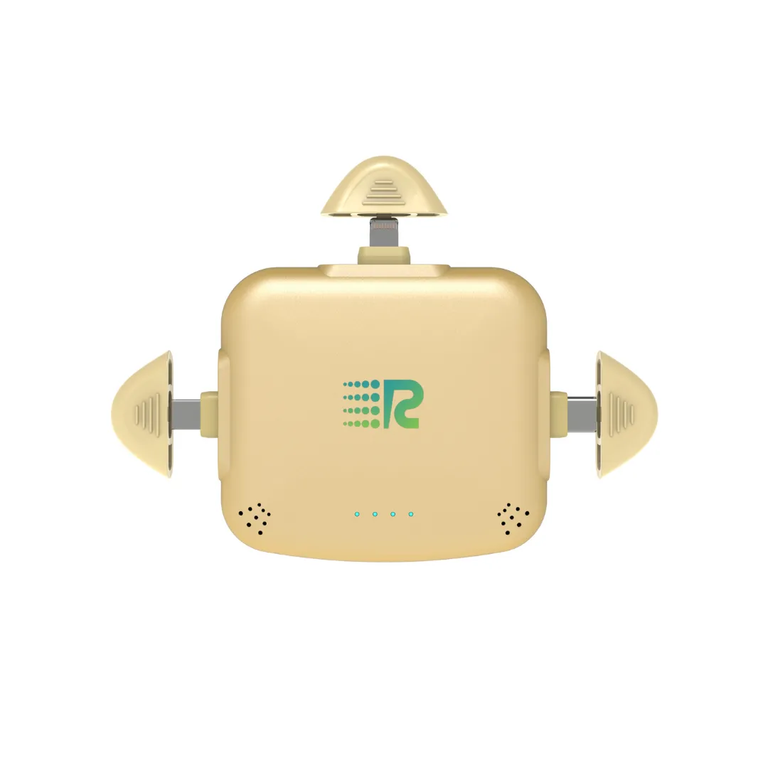 RC Universe 3 in 1 Charger (Metallic Gold)